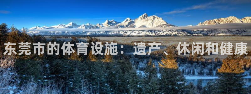 德国意昂3集团