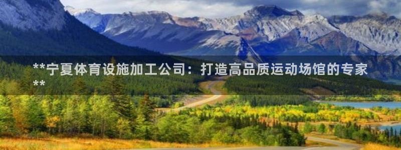 意昂平台体育：**宁夏体育设施加工公司：打造高品质运