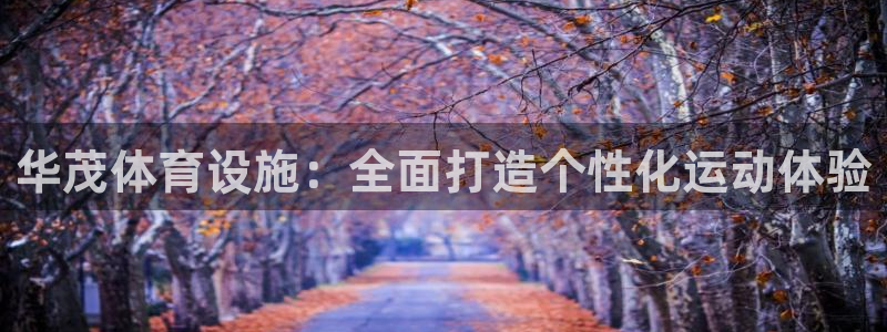 海南意昂体育3：华茂体育设施：全面打造个性化运动体验