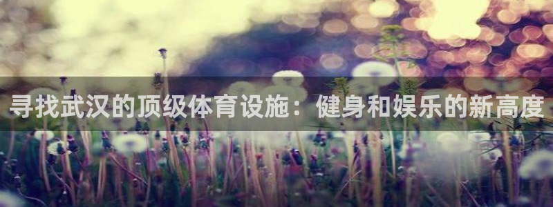 意昂体育3招商电话号码查询：寻找武汉的顶级体育设施：
