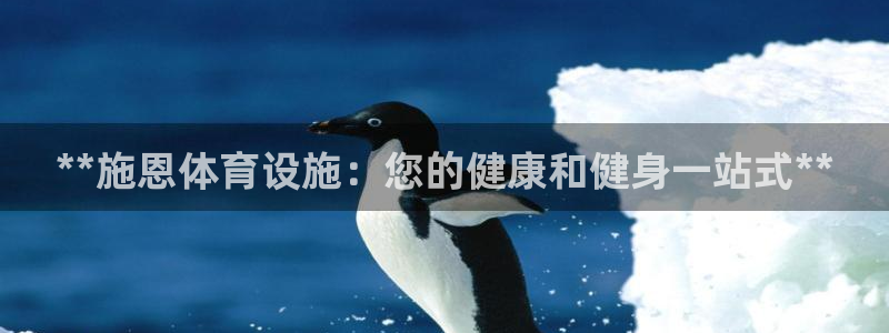 意昂体育3招商电话地址：**施恩体育设施：您的健康和