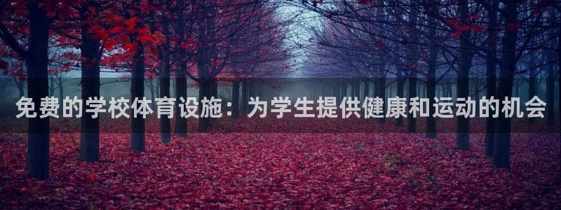 意昂3娱乐代理怎么样：免费的学校体育设施：为学生提供