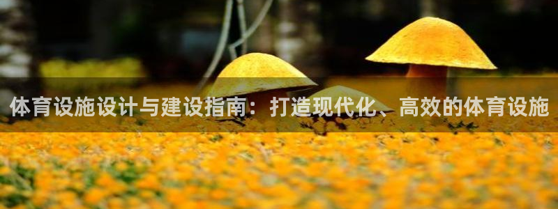 意昂3集团E.ON：体育设施设计与建设指南：打造现代