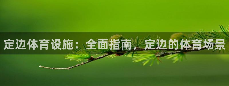 意昂3娱乐40996：定边体育设施：全面指南，定边的