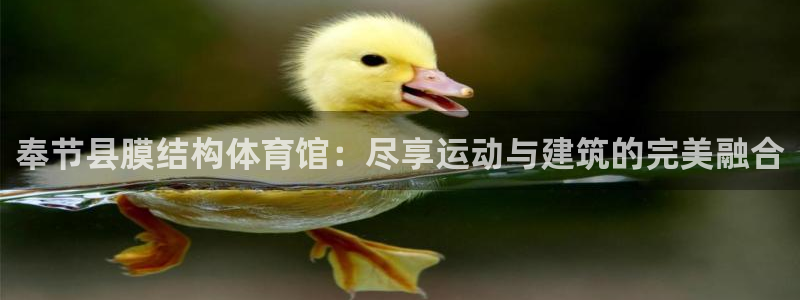 意昂3娱乐：奉节县膜结构体育馆：尽享运动与建筑的完美