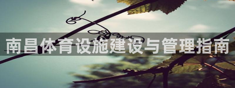 意昂3官网