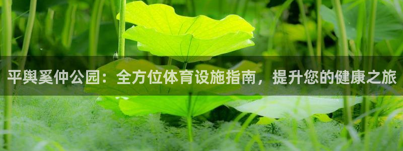 意昂平台体育：平舆奚仲公园：全方位体育设施指南，提升
