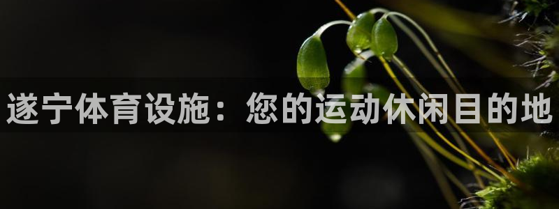 意昂3集团