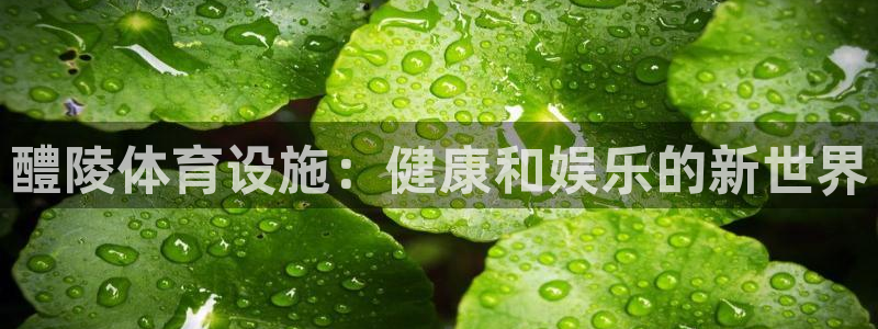 意昂体育3平台是正规平台吗