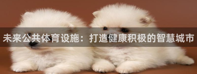 意昂体育3平台：未来公共体育设施：打造健康积极的智慧