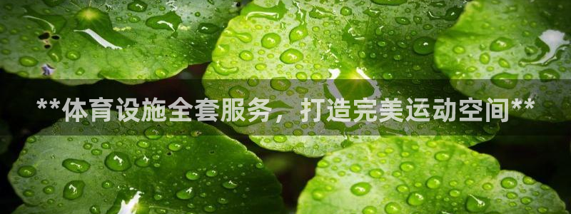 意昂3娱乐首页官网下载：**体育设施全套服务，打造完