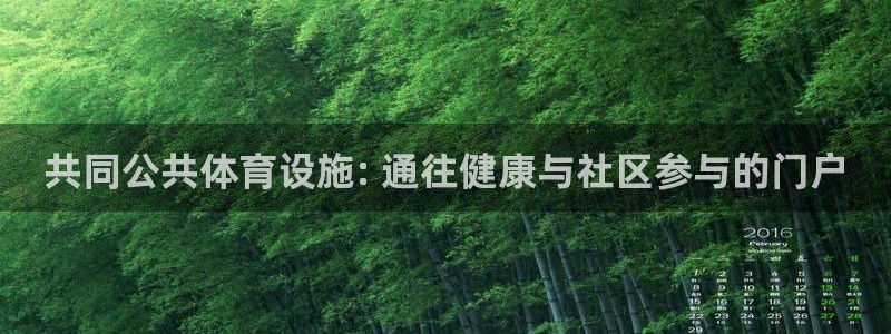 意昂3娱乐40996：共同公共体育设施: 通往健康与
