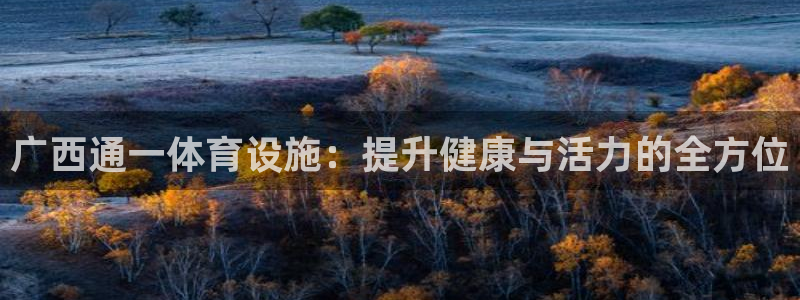 意昂体育3平台是正规平台吗知乎：广西通一体育设施：提