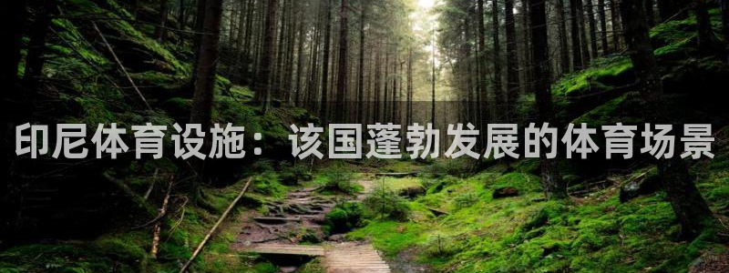 意昂体育3平台假的吗是真的吗：印尼体育设施：该国蓬勃