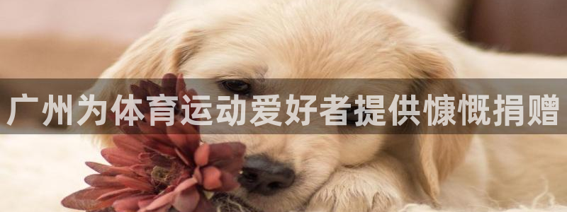 意昂体育3平台注册：广州为体育运动爱好者提供慷慨捐赠