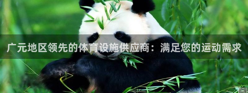意昂3娱乐首页官网下载：广元地区领先的体育设施供应商