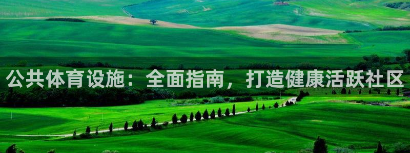 意昂3集团logo：公共体育设施：全面指南，打造健康