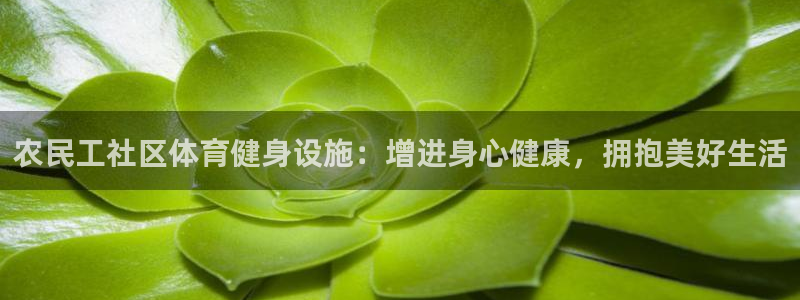 意昂体育3联系电话
