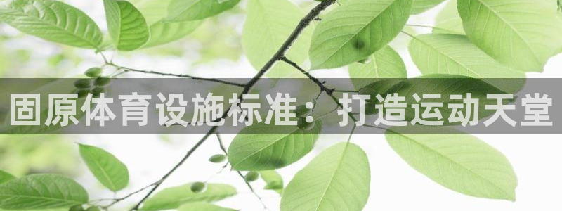 意昂3官网：固原体育设施标准：打造运动天堂