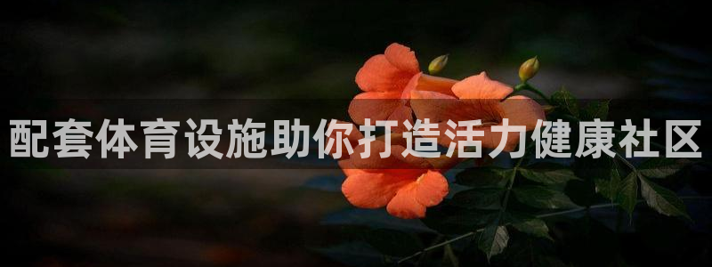 意昂体育3招商电话：配套体育设施助你打造活力健康社区