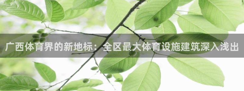 意昂体育3招商电话号码查询：广西体育界的新地标：全区最大体育