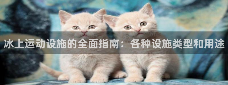 意昂3娱乐首页网站大全：冰上运动设施的全面指南：各种