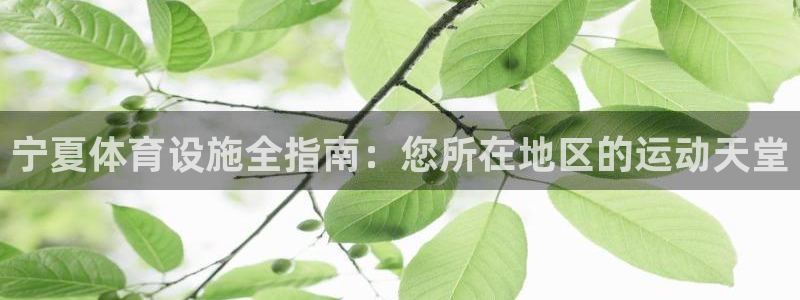 意昂3神州：宁夏体育设施全指南：您所在地区的运动天堂