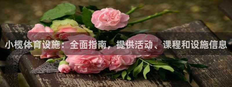 意昂体育3招商电话地址查询：小榄体育设施：全面指南，