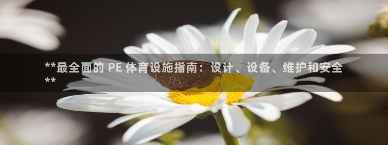 意昂3娱乐是那个系列的台子：**最全面的 PE 体育