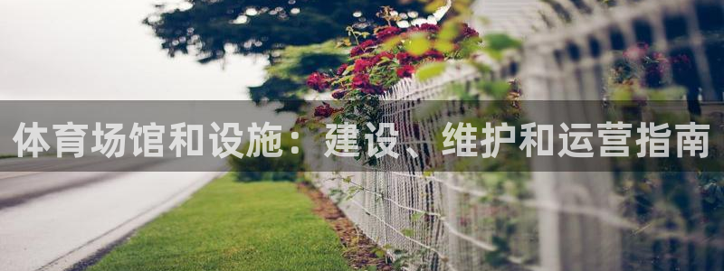 意昂体育3平台注册流程图：体育场馆和设施：建设、维护