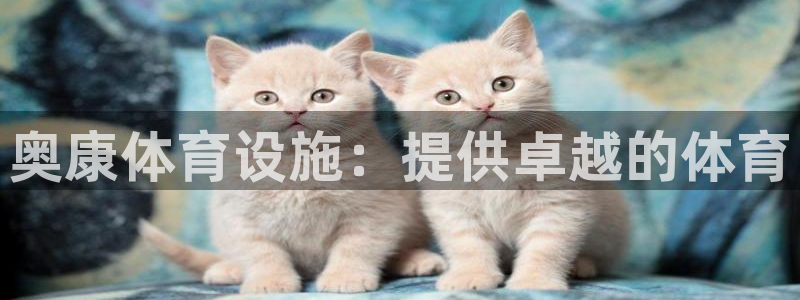 意昂3娱乐