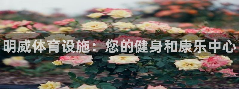 注册意昂3