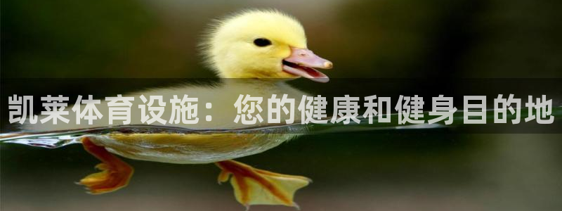 意昂体育3平台是正规平台吗知乎