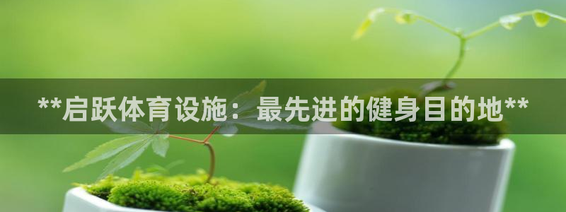 意昂体育3注册：**启跃体育设施：最先进的健身目的地