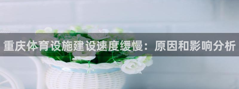 意昂体育3平台注册要钱吗：重庆体育设施建设速度缓慢：