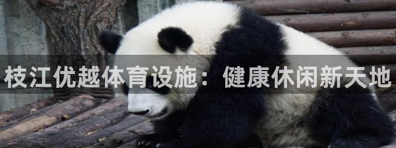 意昂体育3平台注册要钱吗：枝江优越体育设施：健康休闲