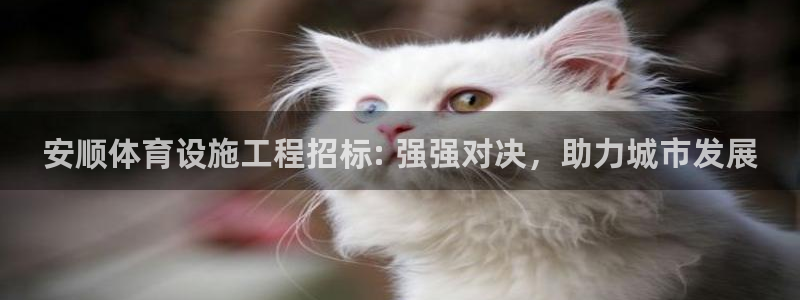 意昂体育3招商电话是多少