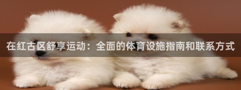 意昂集团官网：在红古区舒享运动：全面的体育设施指南和
