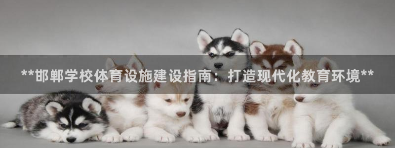 意昂平台体育