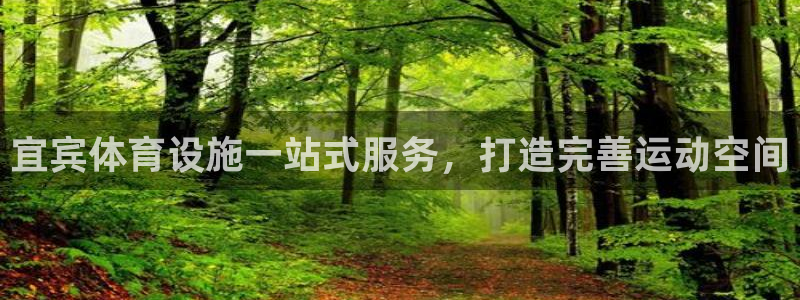 意昂体育3平台假的吗是真的吗：宜宾体育设施一站式服务