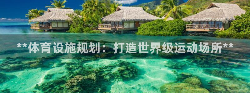 意昂平台体育：**体育设施规划：打造世界级运动场所*