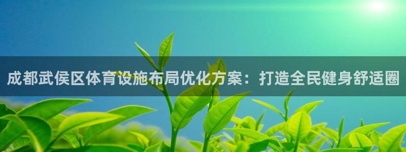 德国意昂3集团：成都武侯区体育设施布局优化方案：打造