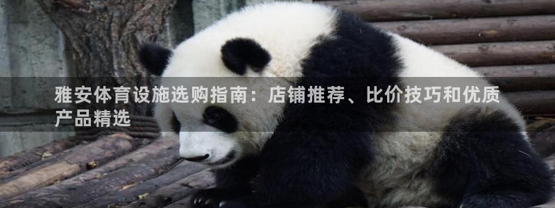 意昂体育3招商电话地址：雅安体育设施选购指南：店铺推