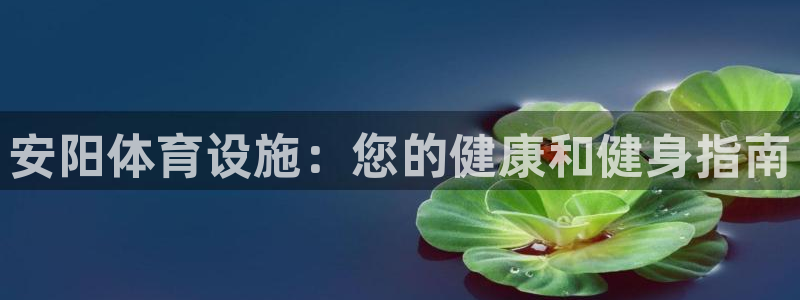 德国意昂3集团：安阳体育设施：您的健康和健身指南
