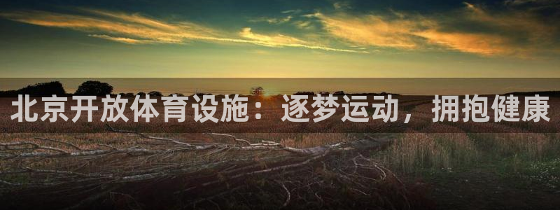 意昂3集团logo