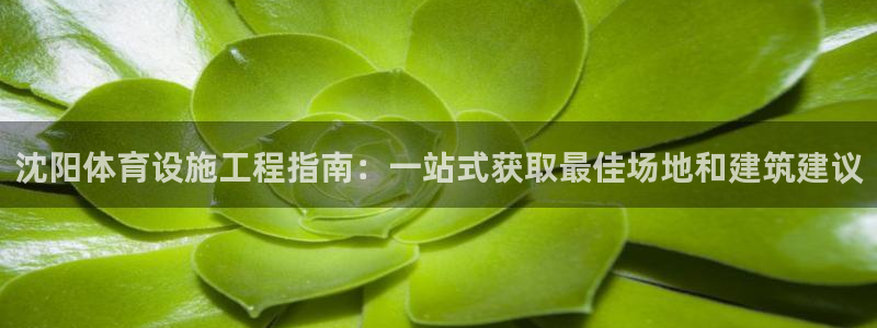 意昂体育3招商电话是多少啊