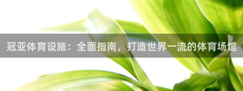意昂体育3平台假的吗是真的吗吗：冠亚体育设施：全面指
