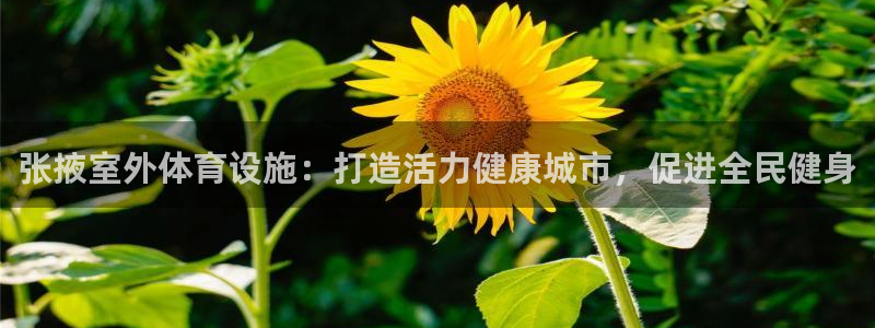 意昂体育3平台假的吗是真的吗