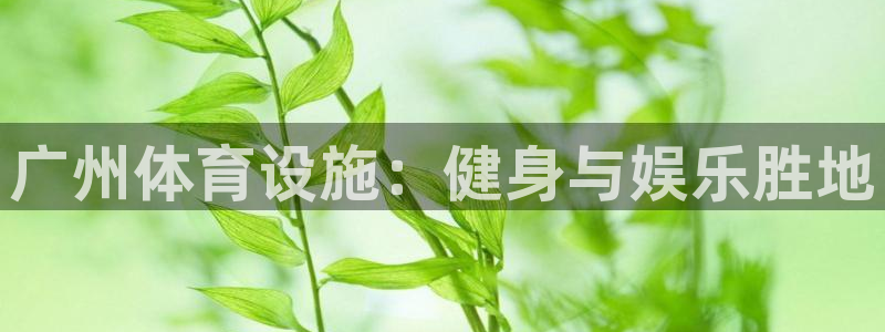 意昂体育3平台假的吗是真的吗
