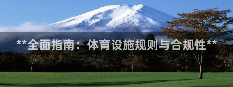 意昂3五金厂：**全面指南：体育设施规则与合规性**